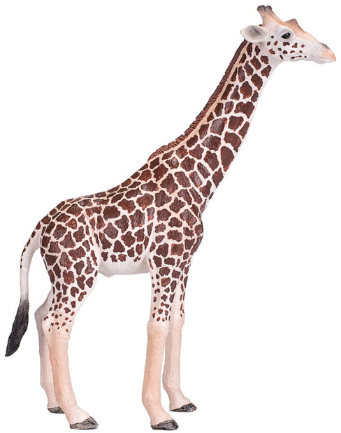 Mojo Male Giraffe - Manufacturer Picture